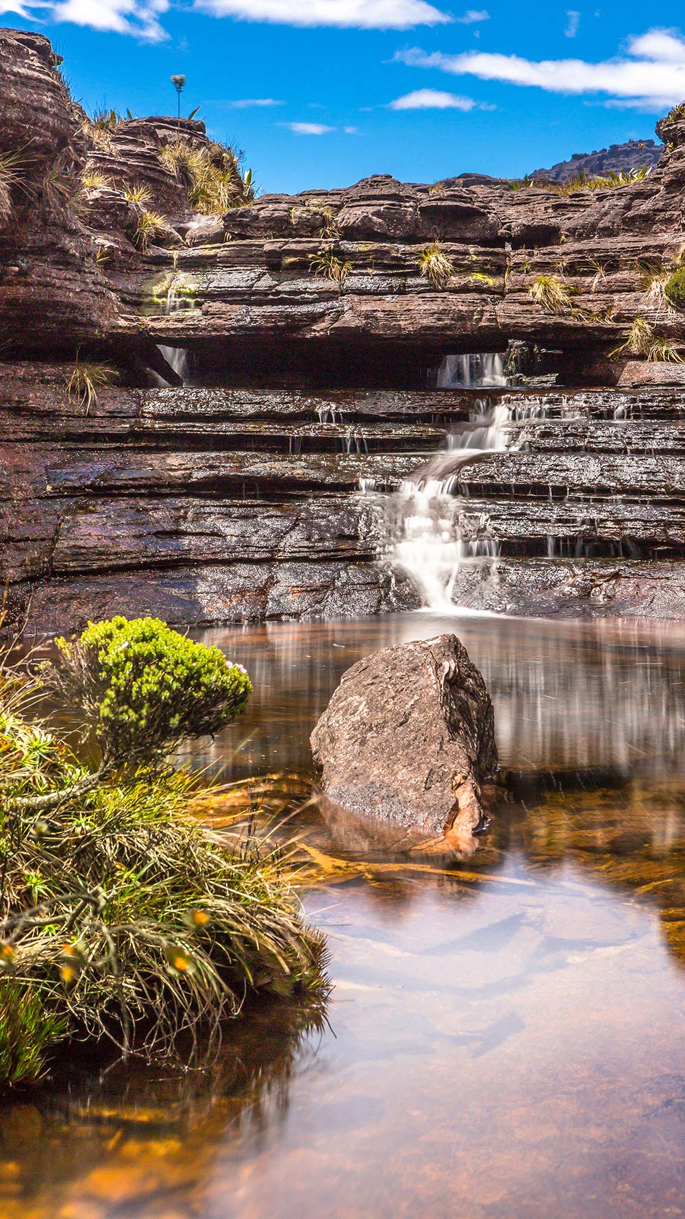 monte-roraima-south-america-2026-01-11-10-10-04-utc